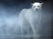 silent wolf's picture