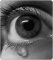 A nobodys words's picture