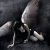 View user profile. Fallen Angel's picture